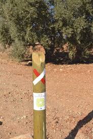 gr dirección errónea