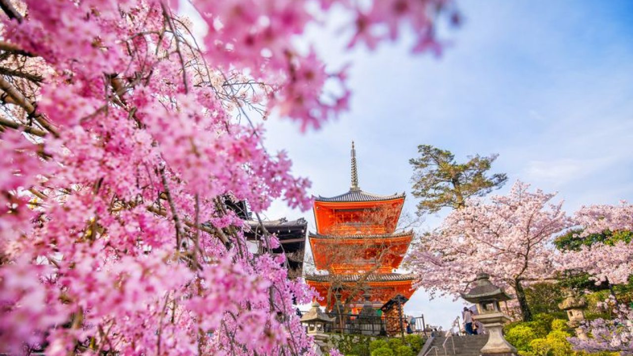 Kyoto