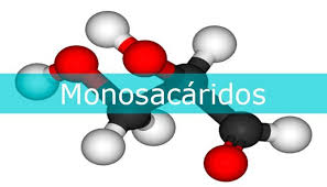 monosacarido