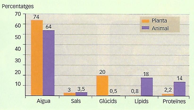 composició química