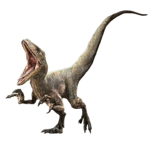 velociraptor