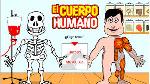 El cuerpo humano