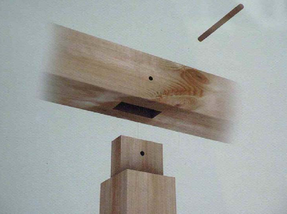 espiga