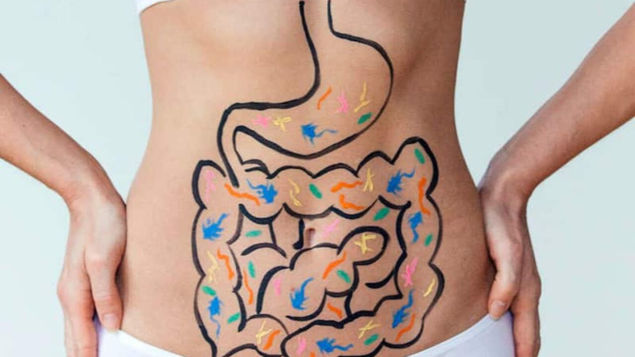 digestión