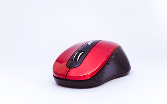 mouse
