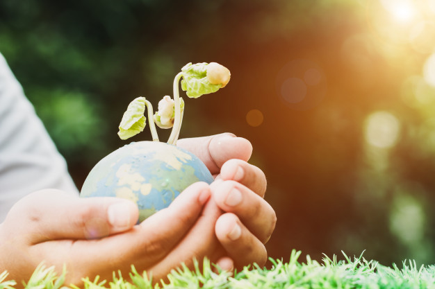 BIOLOGÍA BIODIVERSIDAD