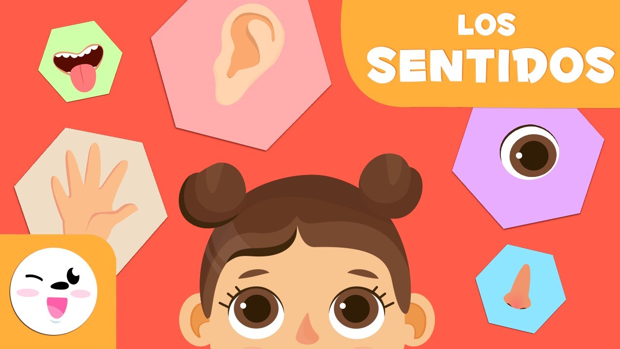 Los sentidos