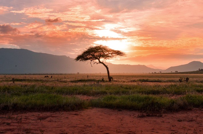 AFRICA