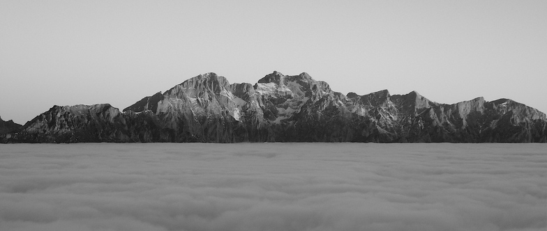 monte