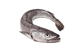 merluza