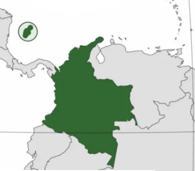 Limita