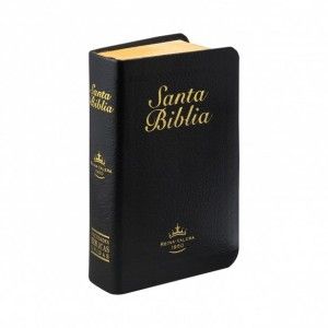 La Biblia