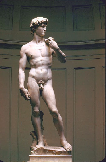 Foto del Quinquecento David