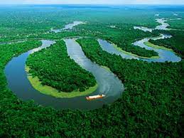 AMAZONAS